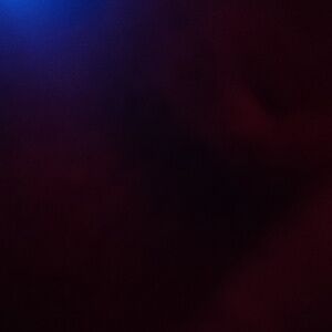 Meet your Posher, Bristen